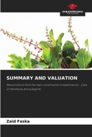 Summary and Valuation 620723247X Book Cover