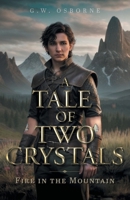 Fire in the Mountain (A Tale of Two Crystals) 1039196349 Book Cover