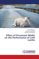 Effect of Processed Alfalfa on the Performance of Lohi Lambs 3659347175 Book Cover