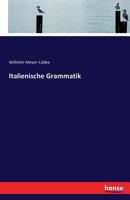 Italienische Grammatik 1022665383 Book Cover