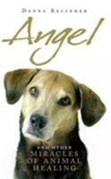 Angel: And Other Miracle of Holistic Animal Healing 1844130371 Book Cover