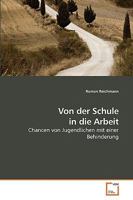 Von der Schule in die Arbeit: Chancen von Jugendlichen mit einer Behinderung 3639227417 Book Cover