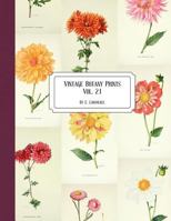 Vintage Botany Prints: Vol. 21 1726309568 Book Cover