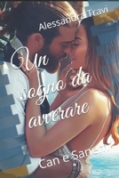 Un sogno da avverare: Can e Sanem null Book Cover
