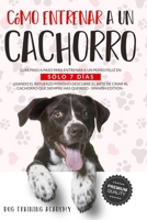 CÓMO ENTRENAR A UN CACHORRO: Guía paso a paso para entrenar a un perro feliz en sólo 7 días usando el refuerzo positivo Descubre el arte de criar al cachorro que siempre has querido (Spanish Edition) B08GFQJXJ4 Book Cover
