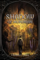 Shadow of Mondrian (Fantasy World Books B0B9MLPZJ9 Book Cover