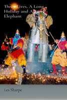 Three Lives, A Long Holiday and A Steel Elephant 1036917150 Book Cover