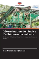 Détermination de l'indice d'adhérence du calcaire (French Edition) 6207703111 Book Cover