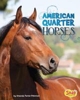 American Quarter Horses 1543500382 Book Cover