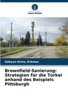 Brownfield-Sanierung: Strategien für die Türkei anhand des Beispiels Pittsburgh 6209603025 Book Cover