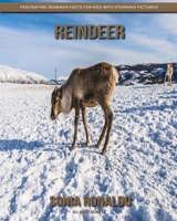 All About Reindeer: Fascinating Reindeer Facts for Kids with Stunning Pictures! 1703582381 Book Cover