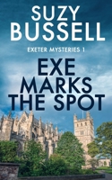 Exe Marks the Spot (Lockwood and Darrow Mysteries) 1838100474 Book Cover