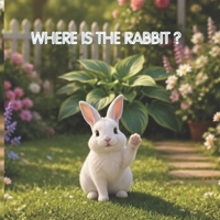 Where Is the Rabbit ?: Kids story book B0H953PXN6 Book Cover