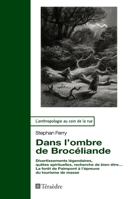 Dans l’ombre de Brocéliande: Divertissements légendaires, quêtes spirituelles, recherche de bien-être… La forêt de Paimpont à l’épreuve du tourisme de masse (French Edition) 2360851845 Book Cover