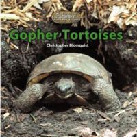 Gopher Tortoises (The Library of Turtles and Tortoises) 0823967409 Book Cover