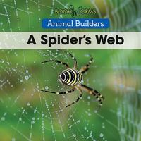 A Spider's Web 1502620731 Book Cover