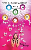 Catch the Running Numbers B0CNNV6TWP Book Cover