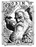 Viking coloring book: Nordic Warriors, Berserkers, Valhalla Runes, Spears and Shields - null Book Cover