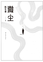 微尘 1088000894 Book Cover