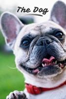 The Dog: Address Book With Alphabetical. Dog Cover Design For Contacts, Addresses, Phone Numbers, Emails, Birthday And More. Gift for Dog Lovers (Address book  My Dog) 1670641848 Book Cover