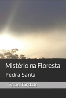 Mistério na Floresta: Pedra Santa 1731143990 Book Cover