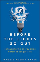 Before the Lights Go Out: Conquering the Energy Crisis Before It Conquers Us 0470876255 Book Cover