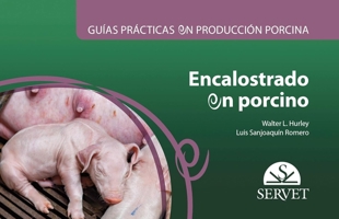 Guías prácticas en producción porcina. Encalostrado en porcino (Spanish Edition) 8417640592 Book Cover