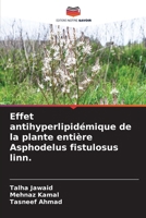 Effet antihyperlipidémique de la plante entière Asphodelus fistulosus linn. 6209113516 Book Cover