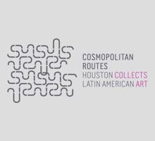 Cosmopolitan Routes: Houston Collects Latin American Art 0300169930 Book Cover