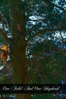 One Fold and One Shepherd: A Discussion Club Manual for Young People's and Adult Groups 1466476443 Book Cover