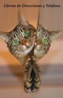 Libreta de Direcciones: Tamaño 5.5 x 8.5 pulgadas. Ideal para Organizar la Informacion de la Familia, Amistades y Contactos. Increible Regalo para ... que Hablan Español 1790665698 Book Cover