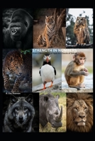 Strength in Numbers: From a Shrewdness of Apes to a Dazzle of Zebras B09JJ5LJXZ Book Cover