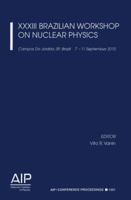 XXXIII Brazilian Workshop on Nuclear Physics: Campos Do Jorado, SP, Brazil, 7-11 September 2010 (AIP Conference Proceedings 0735409080 Book Cover