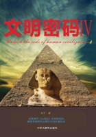 ????iv (Chinese Edition) 1997011085 Book Cover