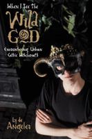 When I See The Wild God: Encountering Urban Celtic Witchcraft 0738705764 Book Cover