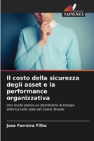 Il costo della sicurezza degli asset e la performance organizzativa 6207325370 Book Cover