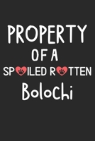 Property Of A Spoiled Rotten Bolochi: Lined Journal, 120 Pages, 6 x 9, Bolochi Dog Gift Idea, Black Matte Finish (Property Of A Spoiled Rotten Bolochi Journal) 1707003769 Book Cover