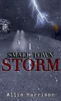 Small Town Storm 0996904875 Book Cover