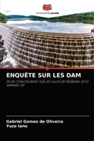 ENQUÊTE SUR LES DAM: EN SE CONCENTRANT SUR LES VILLES DE PEDREIRA-SP ET AMPARO-SP 620395120X Book Cover