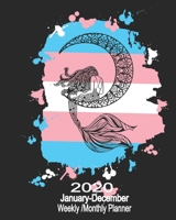 2020 January-December Weekly/Monthly Planner: Pretty LGBT Transgender Mermaid Art Calendar Scheduler & Organizer With Monthly Goals Overview 1711037443 Book Cover