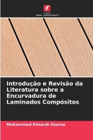 Introdução e Revisão da Literatura sobre a Encurvadura de Laminados Compósitos (Portuguese Edition) 6208523567 Book Cover