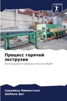 Процесс горячей экструз& 6205368137 Book Cover