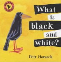 What Is Black and White? 074457577X Book Cover