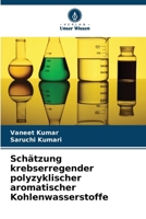 Schätzung krebserregender polyzyklischer aromatischer Kohlenwasserstoffe (German Edition) 620921052X Book Cover