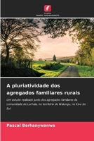 A pluriatividade dos agregados familiares rurais (Portuguese Edition) 6630382935 Book Cover
