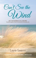 Can't See the Wind: But the Evidence Is All Around - Practical Insights of God's Involvement in Everyday Life 1519674767 Book Cover