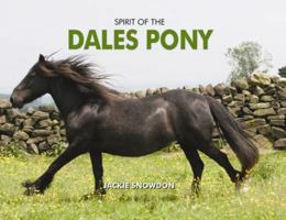 Spirit of the Dales Pony 1906887942 Book Cover