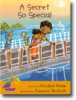 A Secret So Special 1869701135 Book Cover