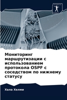 Мониторинг маршрутизац&# 6202909641 Book Cover