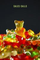 Sales Calls 1095400819 Book Cover